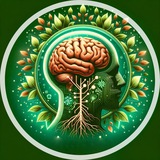 Капсула жизни | Биохакинг
