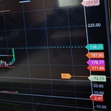 Trading Bear