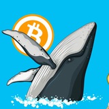 Китовый Движ 🐋