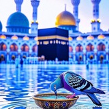 خلاصة الكتب