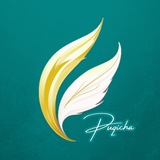 Puqicha 💛
