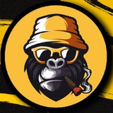 Creative Hub Fx channel