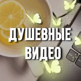 Душевные видео 🦋 Видео для сторис | Фоны
