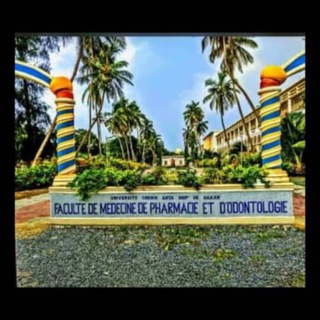 Doctorat 1 medecine canal