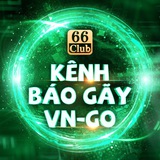BÁO GÃY VN-GO