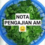 Nota Pengajian Am