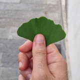 طبیعت با من