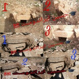 آموزشکده🎓دکترایراندوست