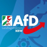 AfD-Fraktion NRW