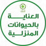 العناية بالحيوانات المنزلية - تشارك