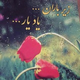 زیرباران ☔️