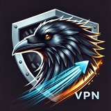 VPN RAVENXER
