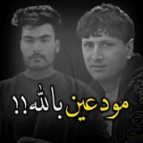 الشاعر احمد الصالحي || زيد السومري