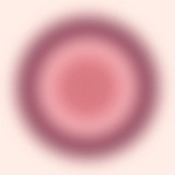 𓆩𝑺𓆪