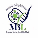 MBL.bioLab آزمایشگاه سلولی و مولکولی