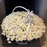 asylimmy