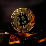 💰 💰 CRYPTO BOX & CRYPTO BOX<i class="emoji" style="