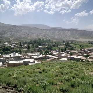🌲کانال امامقلی🌲