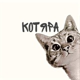 КОТЯРА 😸