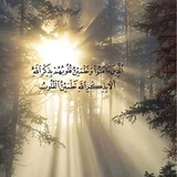 قناة: ناصر الحميد الدعويّة. 🪴