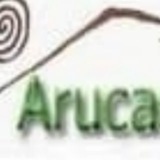 Jorge Guerra - Canal Actualidad y Opiniones