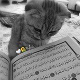 طمأنينة 🫂 ☁️