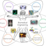 Biomedical Engineering Management