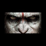 Ape's Crib