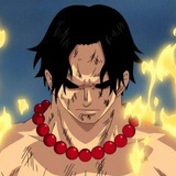 ONE PIECE FIGHTING PATH