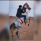 حاتم الاسلمي ☪ ︎