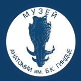 Anatomy_muz π ΠΡΠ·Π΅ΠΉ Π°Π½Π°ΡΠΎΠΌΠΈΠΈ