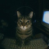 MemeCodein