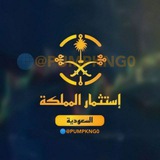 🇸🇦 إستثمار السعودية 🇸🇦 والامارات <i c