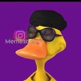 اونلي ميمز