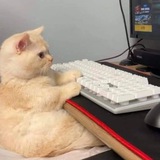 IT with Lina