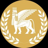فوركس الحدباء