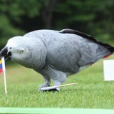 未來群組 ⚽️