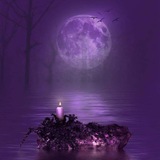 بنفسج 💜