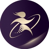 ایران آکادمی