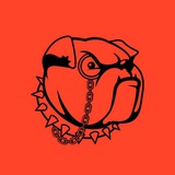 WatchDog.MD