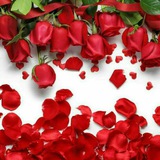 ❤ ❤ كـلام حب ومشاعر رومنسية<i class="emoji" style="backgrou