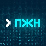 Программист живёт нормально