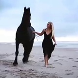🍀زیبایی های آفرینش🍀