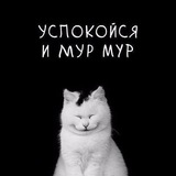 ЗАБАВНЫЕ Мордастики 🐾 Смешные видео/картинки 🔥