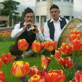 آهنگ محلی شاد مازندرانی