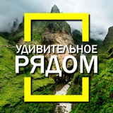 Удивительное рядом! Факты, природа, наука
