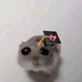 دفعة 2024 🎓 .