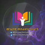 መንፈሳዊ መጽሐፍትና ፅሁፎች ✟