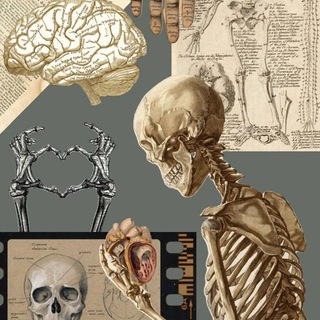 تمريضيون 💉 🩺