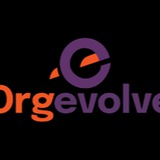 OrgEvolve